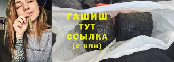 дмт Тавда