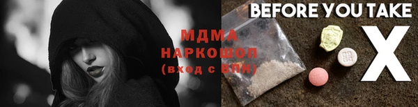 гидра Няндома