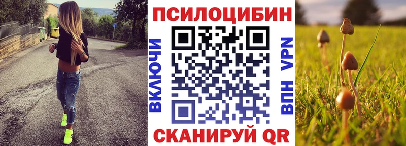 Галлюциногенные грибы мухоморы  блэк спрут tor  Вятские Поляны 